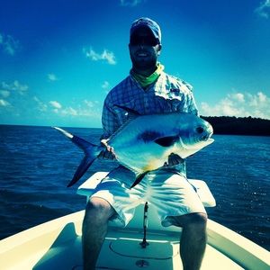 Meet your Posher, George